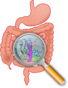 gutbugs20